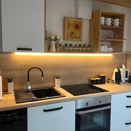 Apartment Cactus Donji Okrug  Zewnętrze zdjęcie