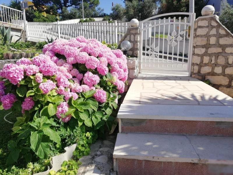 Apartment Cactus Donji Okrug  Zewnętrze zdjęcie