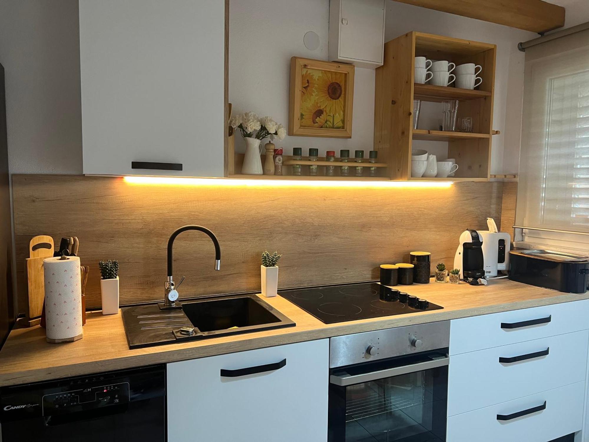 Apartment Cactus Donji Okrug  Zewnętrze zdjęcie