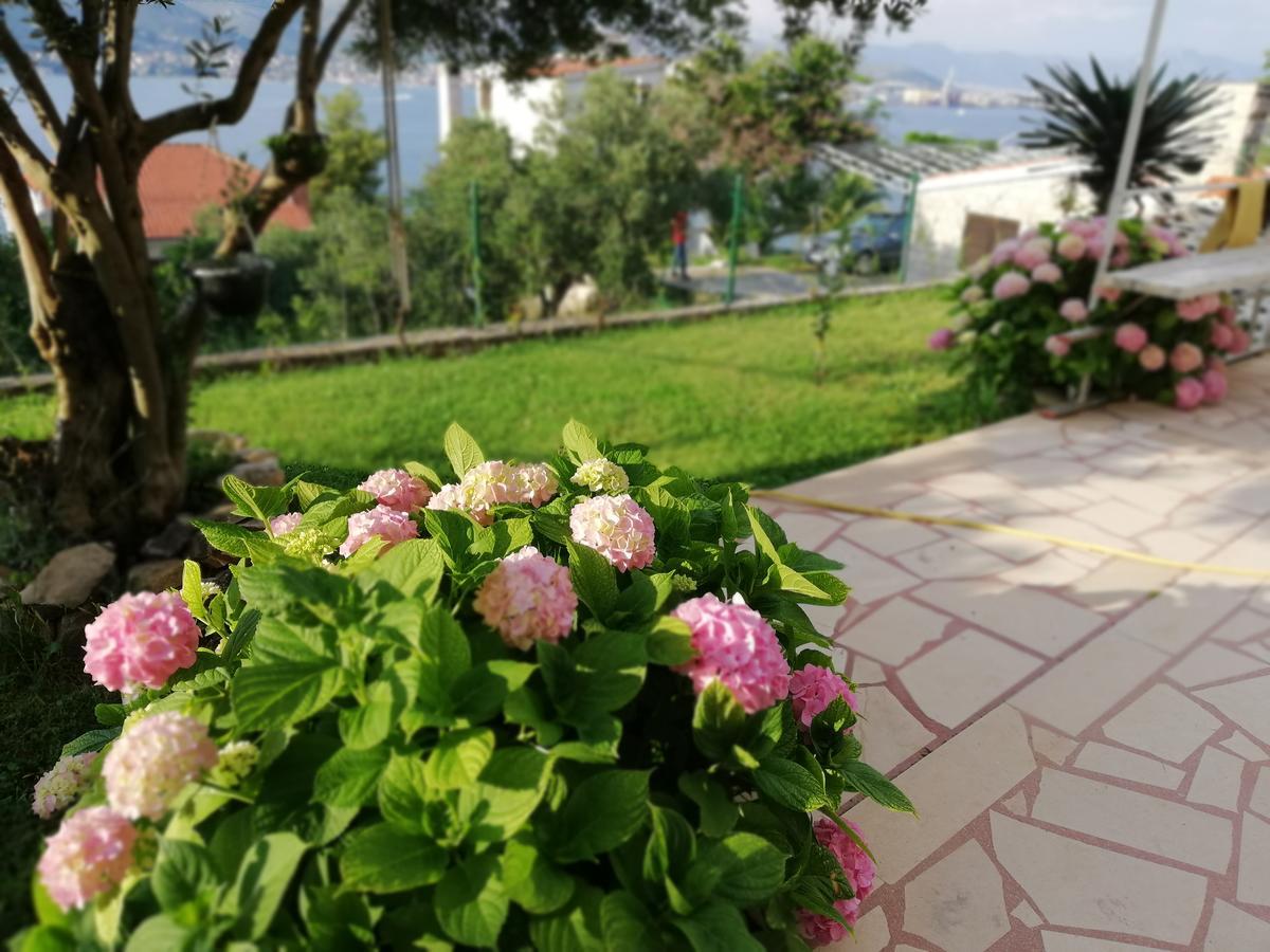 Apartment Cactus Donji Okrug  Zewnętrze zdjęcie