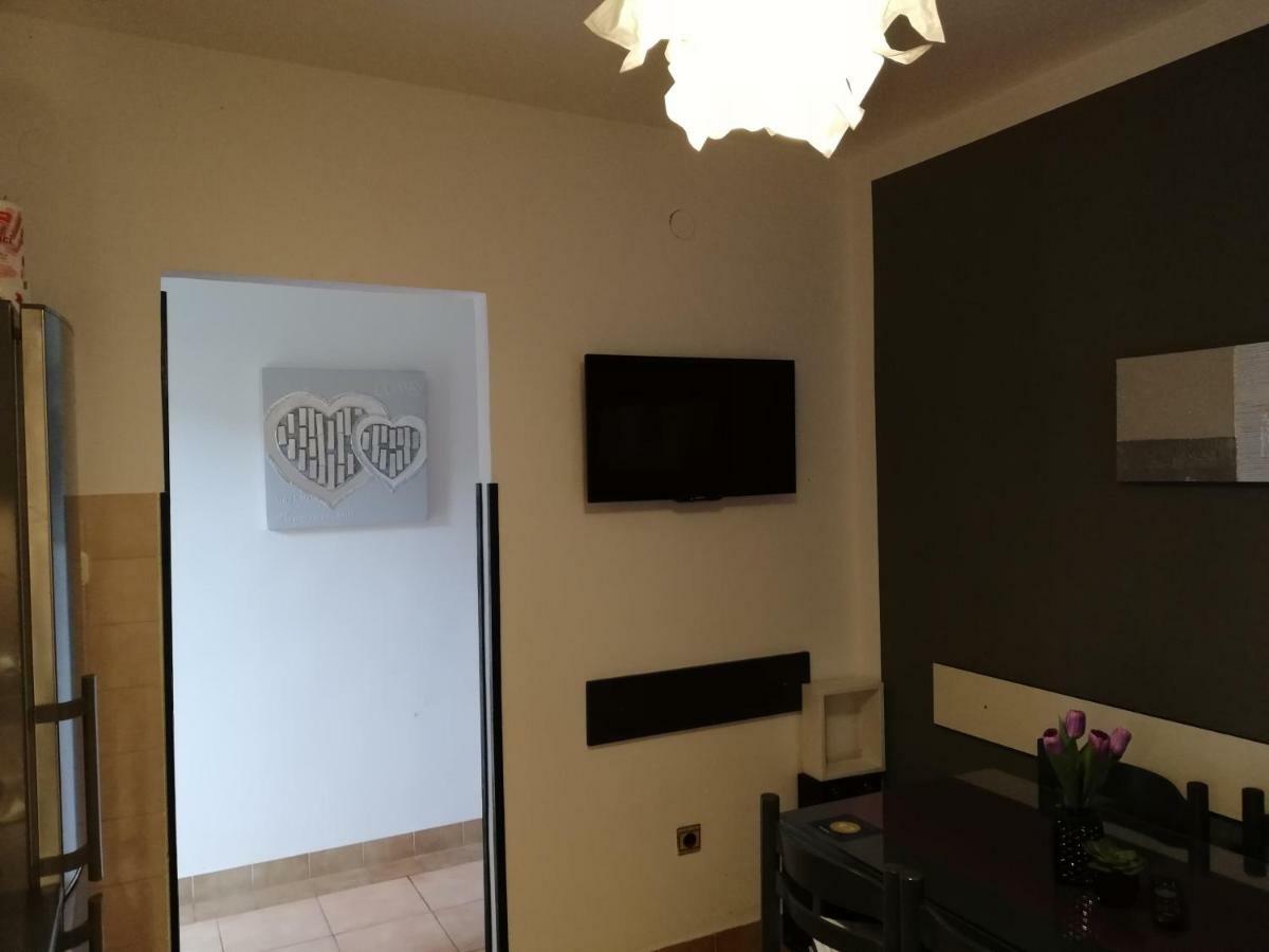 Apartment Cactus Donji Okrug  Zewnętrze zdjęcie